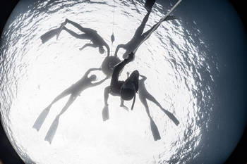 潛水大本營教學照片 龜山島潛水 首選 潛水大本營 專營自由潛水、龜山島潛水、牛奶海sup、水下攝影、遊艇潛水